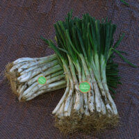 Tienda calçots online